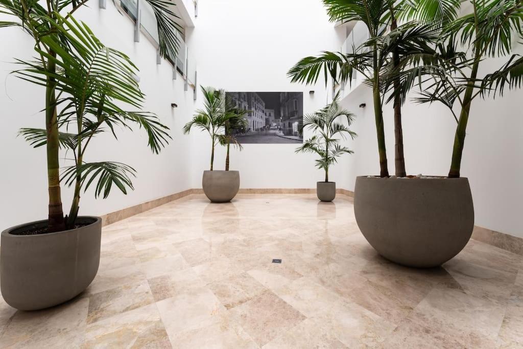 Premium Flat In Malaga Center With Free Parking公寓 外观 照片